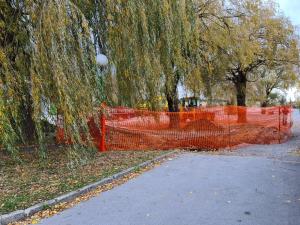 Ograda okoli vrb na parkirišču pri jezeru